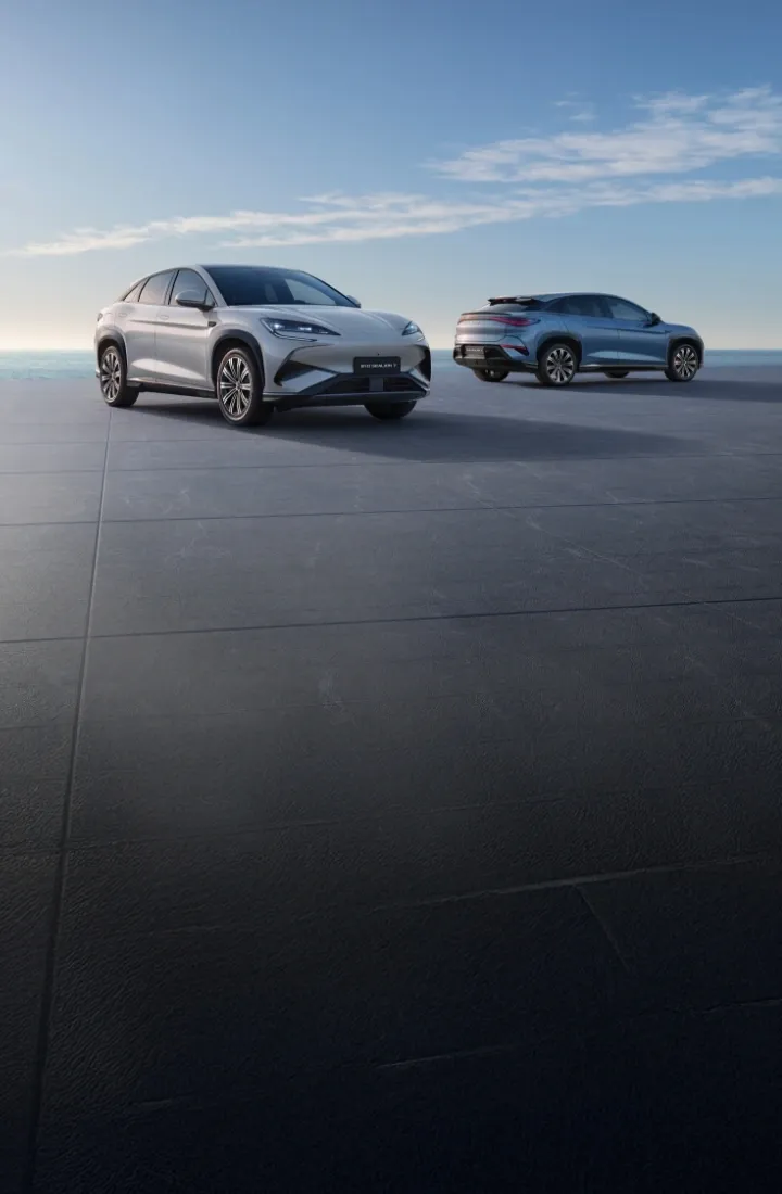 Dois BYD's SEALION 7 parados numa plataforma com vista para o mar