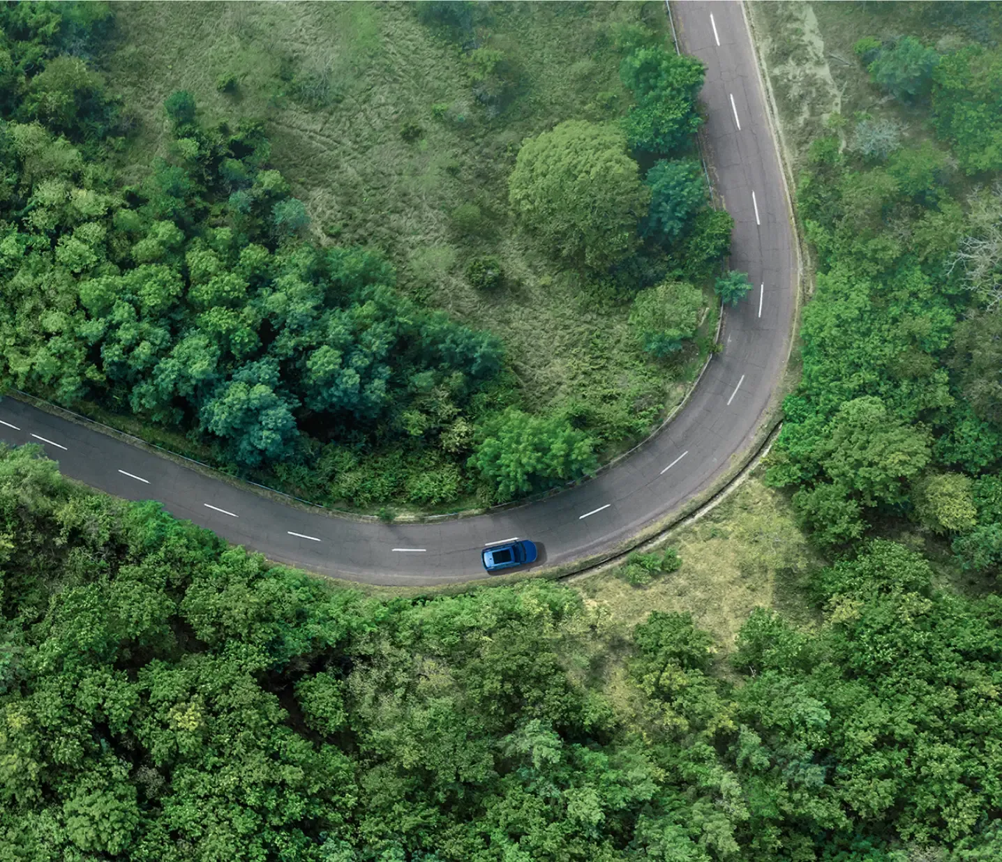 Vista de topo de um BYD a circular numa estrada rodeada de arvoredo