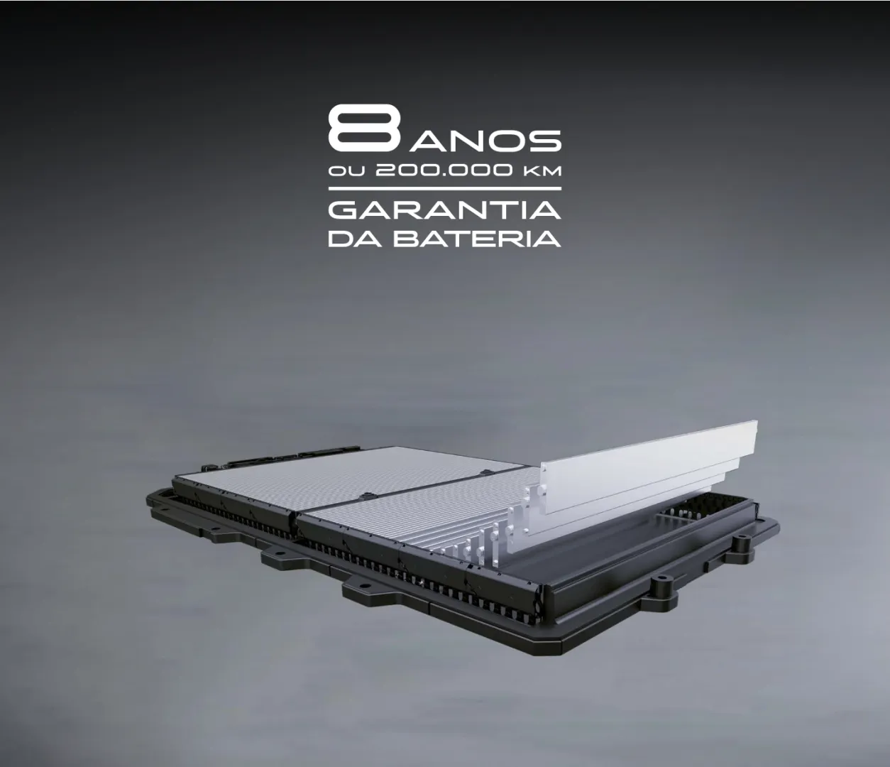 8 anos garantia BYD